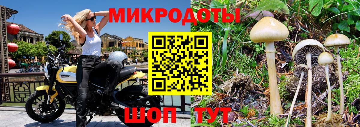 Новокубанск  Псилоцибиновые грибы Cubensis  хочу наркоту  Вход с VPN 