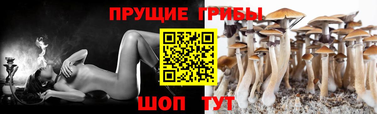 Галлюциногенные грибы ЛСД Новокубанск